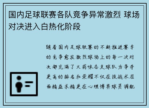 国内足球联赛各队竞争异常激烈 球场对决进入白热化阶段